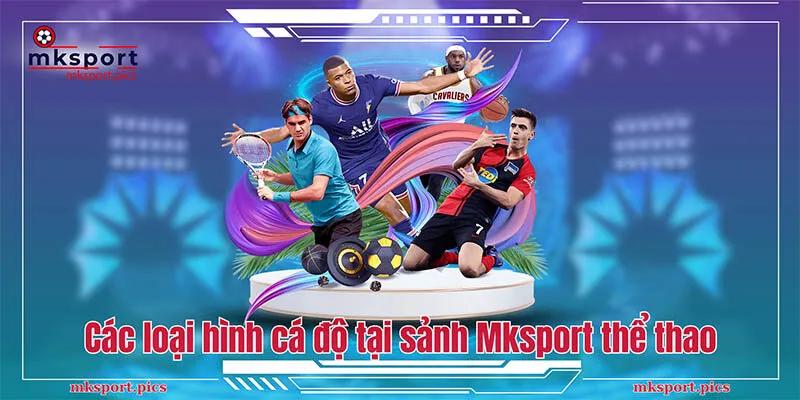 Sảnh Mksport Thể Thao Uy Tín Cùng Tỷ Lệ Cược Hấp Dẫn Các loại hình cá độ tại sảnh Mksport thể thao