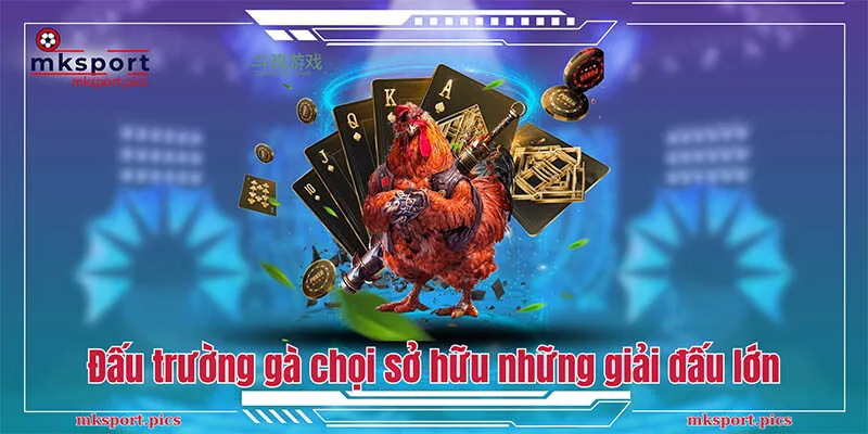 Đấu Trường Gà Chọi - Bùng Nổ Cảm Xúc Cùng Mksport  Đấu trường gà chọi Mksport sở hữu những giải đấu lớn