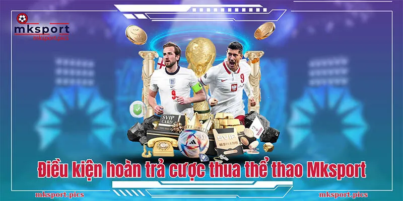 Hoàn Trả Cược Thua Thể Thao Mksport: Ưu Đãi Hấp Dẫn Điều kiện để được hoàn trả cược thua thể thao Mksport