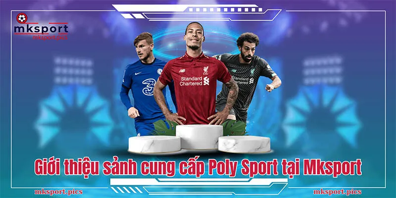 Poly Sport: Trải Nghiệm Cá Cược Thể Thao Đỉnh Cao Cùng Mksport Giới thiệu sảnh cung cấp Poly Sport tại Mksport