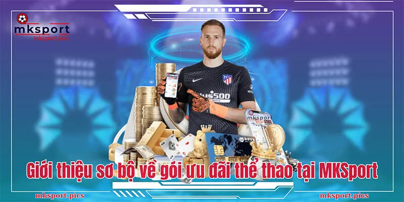 Tổng hợp những chương trình khuyến mãi tại thể thao Mksports Giới thiệu sơ bộ về gói ưu đãi thể thao tại MKsport