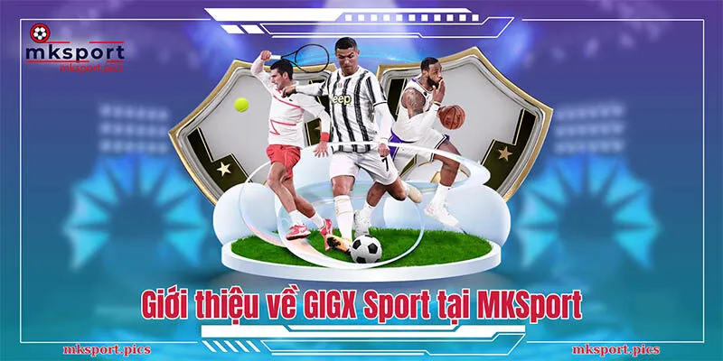 GIGX Sport: Khám Phá Sảnh Thể Thao Đỉnh Cao của MKSport Giới thiệu về GIGX Sport tại MKSport