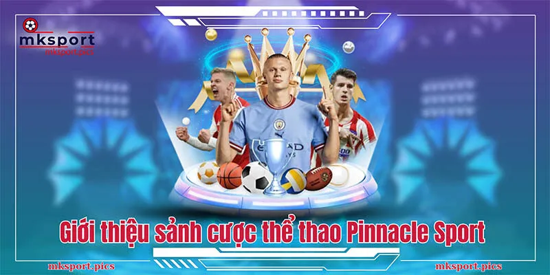 Pinnacle Sport - Sảnh cược thể thao với tỷ lệ thưởng cao tại MKSport Giới thiệu về sảnh cá cược thể thao Pinnacle Sport tại MKSport