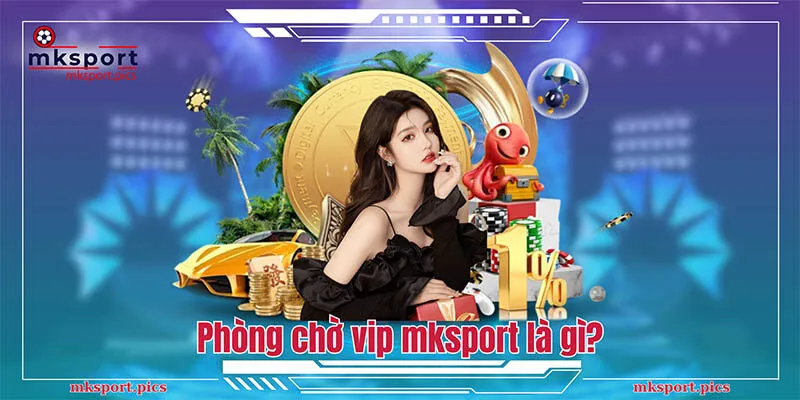 Khuyến mãi hội viên VIP Mksport - Thăng cấp nhận quà hấp dẫn Phòng chờ vip mksport là gì