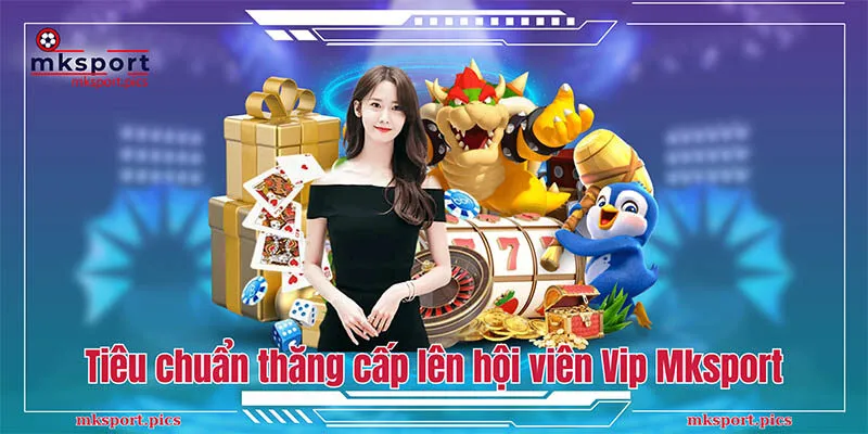 Khuyến mãi hội viên VIP Mksport - Thăng cấp nhận quà hấp dẫn Tiêu chuẩn thăng cấp lên hội viên Vip tại Mksport