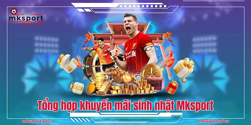 Khuyến Mãi Sinh Nhật Mksport: Giảm Giá Sâu, Quà Tặng Hấp Dẫn Tổng hợp các chương trình khuyến mãi sinh nhật Mksport